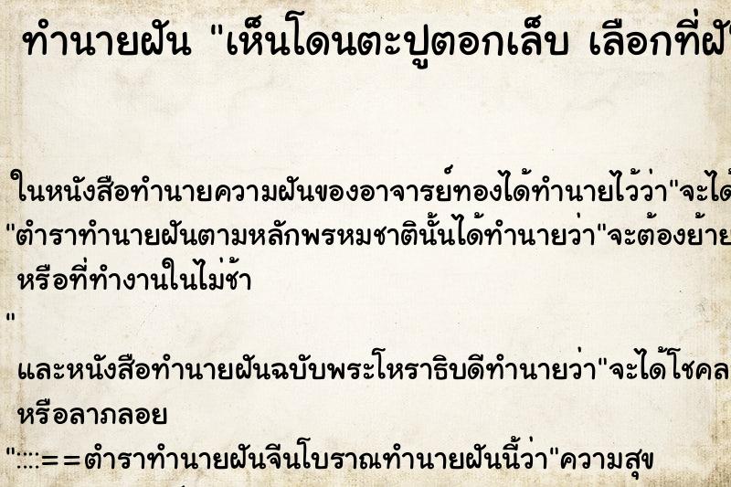 ทำนายฝันทำนายฝันเห็นโดนตะปูตอกเล็บเลือกที่ฝั